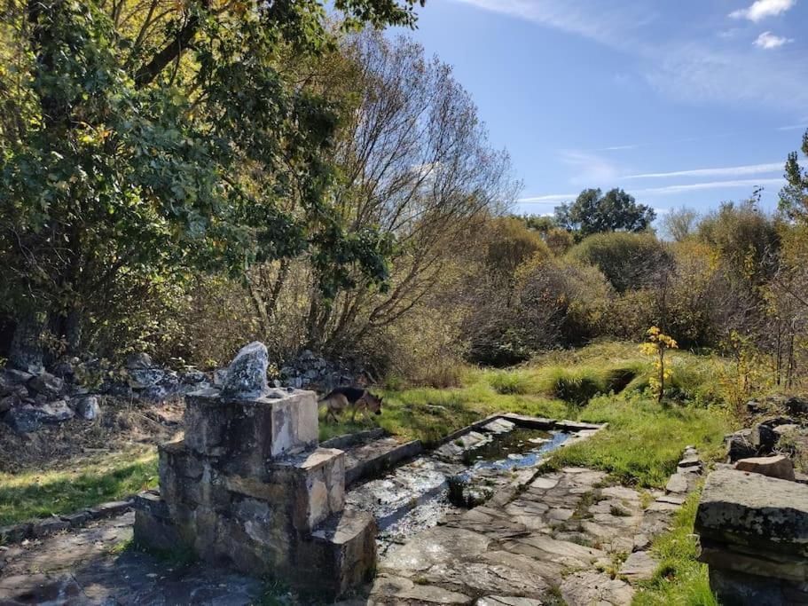 Casa Rural Tozolosolobos Otero de Bodos Kültér fotó