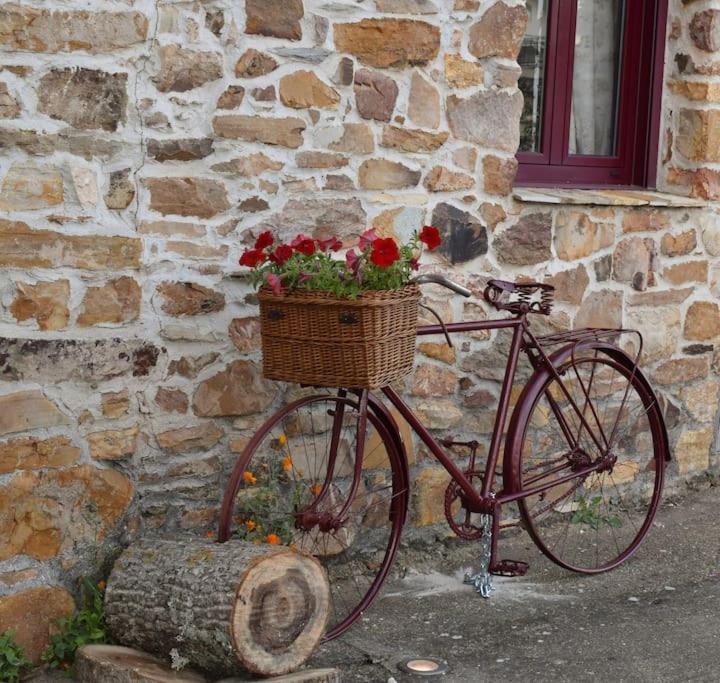 Casa Rural Tozolosolobos Otero de Bodos Kültér fotó